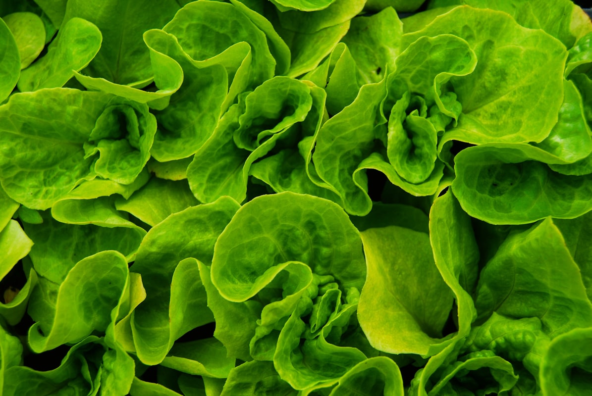 Szem és lutein antioxidánsok