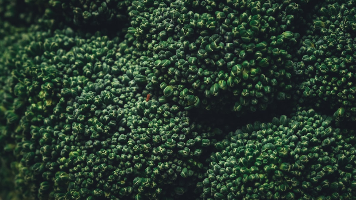 Lutein és zeaxantin antioxidáns